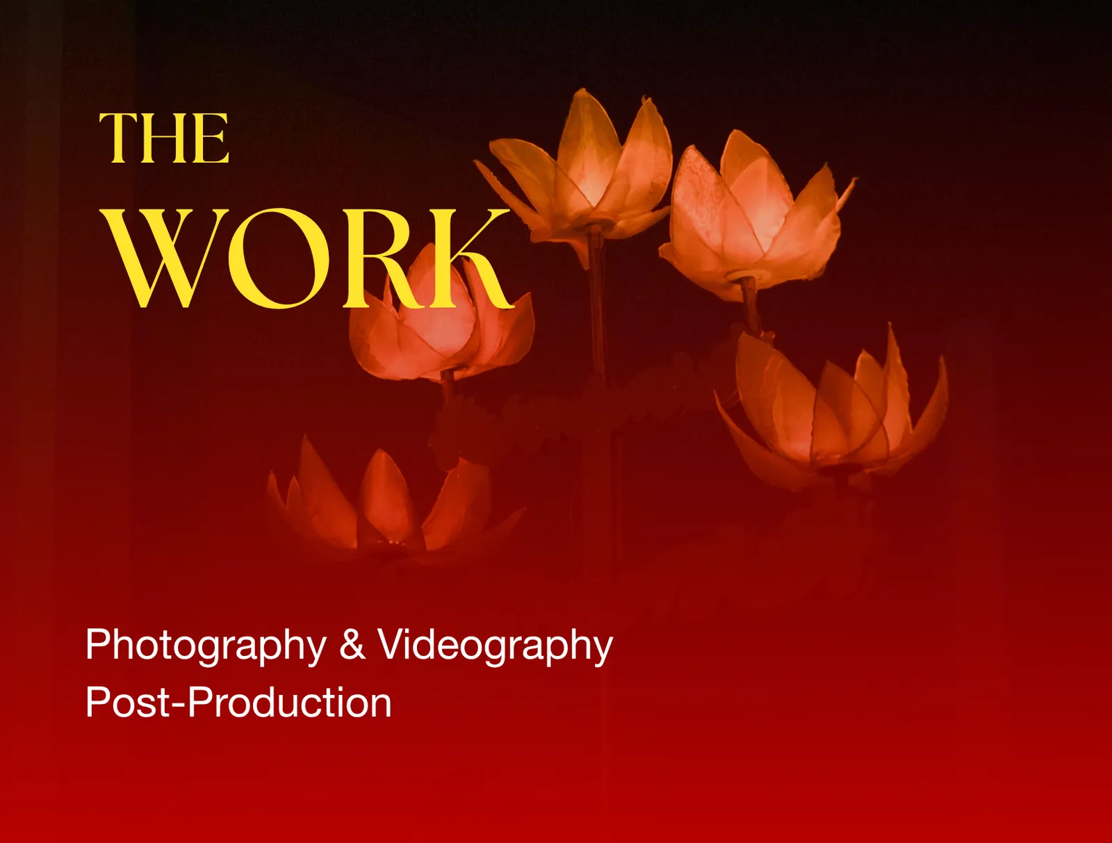 The Work — photography, videography and post-production, over glowing lotus lanterns