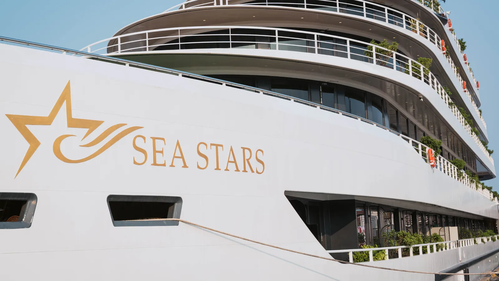 Sea Stars Cruise